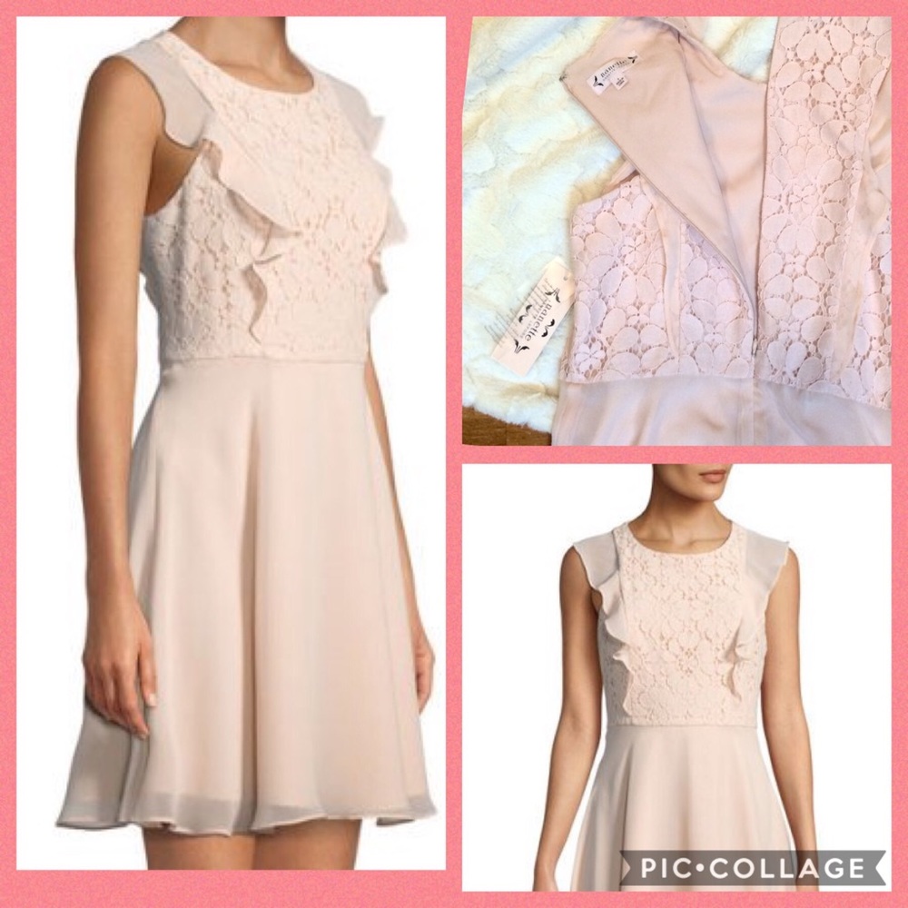 NWT Nanette Lepore Pale Pink Fit and Flare